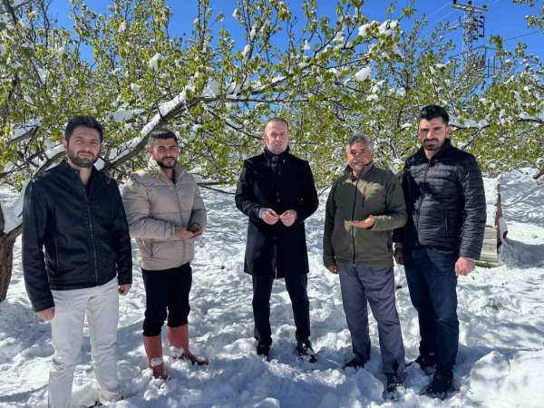 Malatya'da kayısı da don felaketi