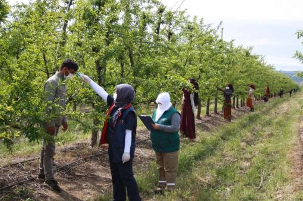 Balıkesir'e mevsimlik tarım işçileri geldi
