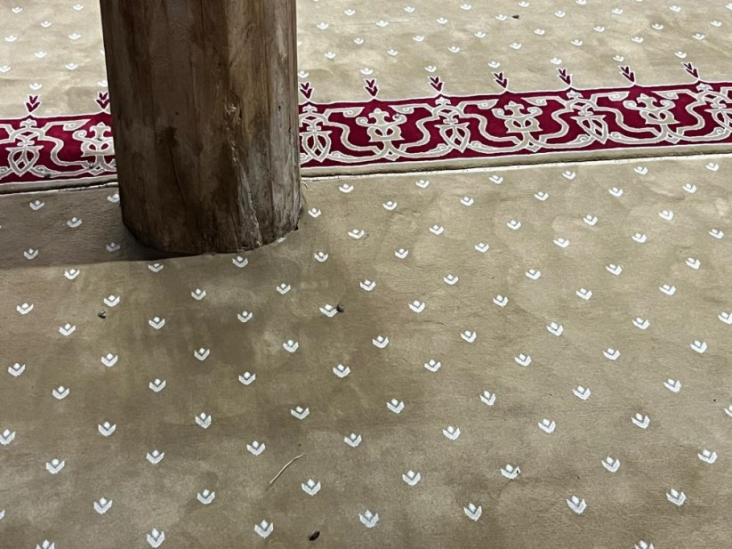 Samsun'da 8 asırlık ahşap camide kokarca istilası