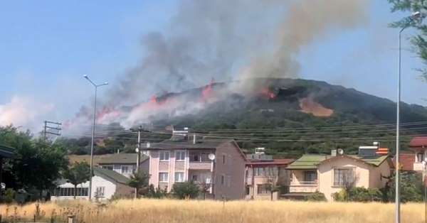 Niksar'da orman yangını, ekiplerin müdahalesi sürüyor