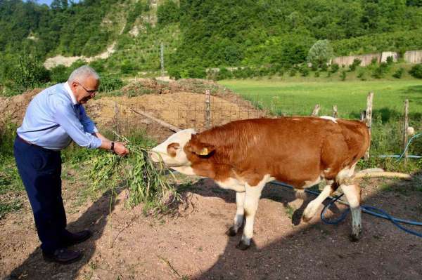 Ordu'da besicilerin yüzünü güldürüp, verimi arttıran destek