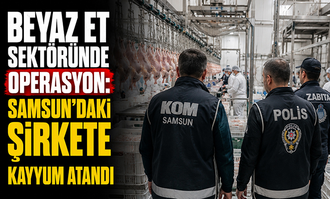 Beyaz Et Sektöründe Operasyon: Samsun'daki Şirkete Kayyum Atandı