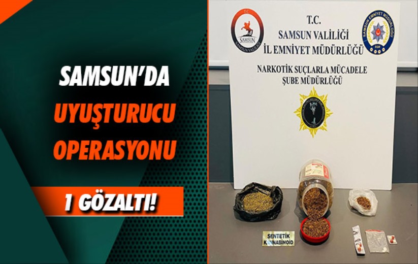 Samsun'da uyuşturucuyla yakalanan şahıs gözaltına alındı