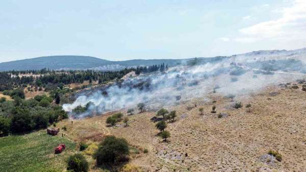 Menteşe'deki makilik yangını kontrol altına alındı