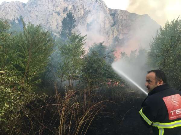 Amasya'da yangın: 5 dönüm alan zarar gördü 