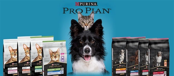 Pro Plan: Evcil Dostlarınızın Sağlığı İçin Akıllı Beslenme Çözümleri