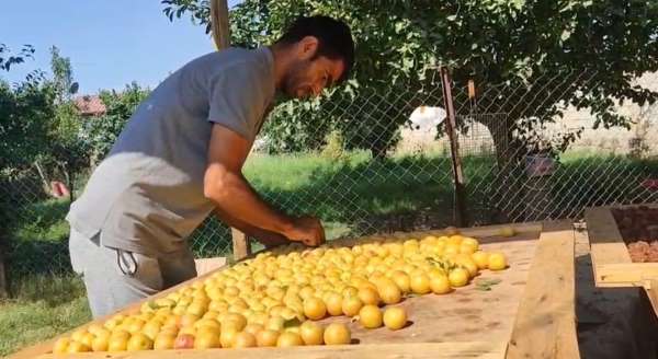Iğdır'da güneşte kurutulan meyveler pazarda satılıyor
