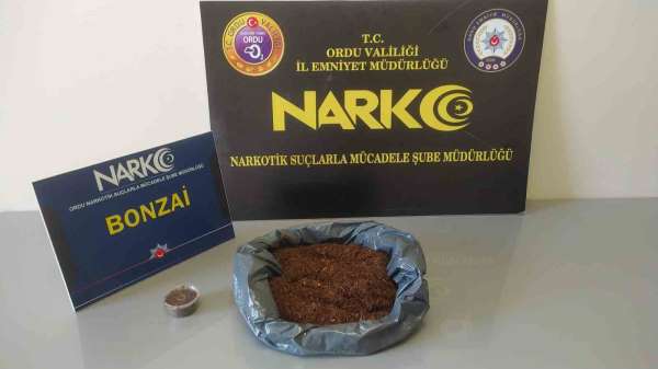 Ordu'da uyuşturucu operasyonlarında 2 tutuklama