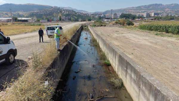 Tokat'ta sivrisinek ve haşerelere karşı kapsamlı ilaçlama seferberliği