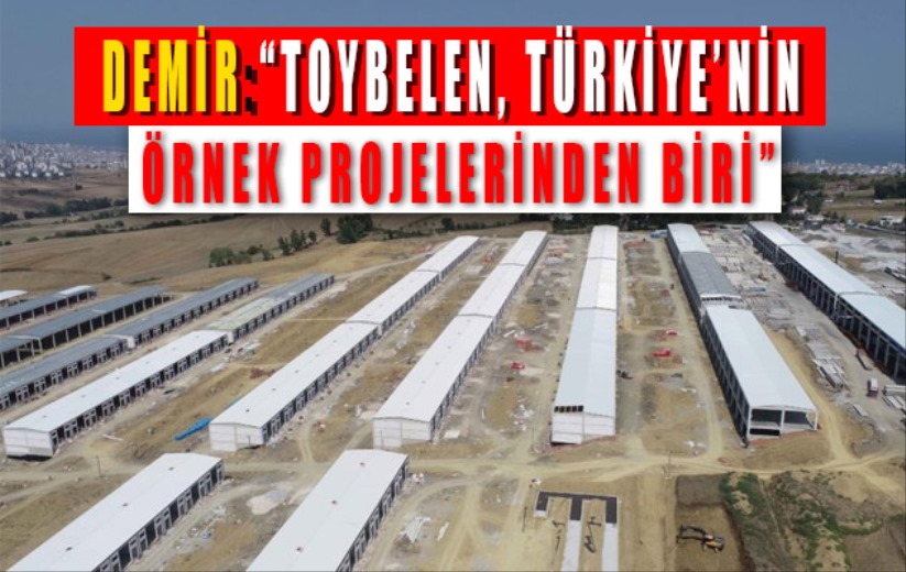 Demir: 'Toybelen, Türkiye'nin örnek projelerinden biri'