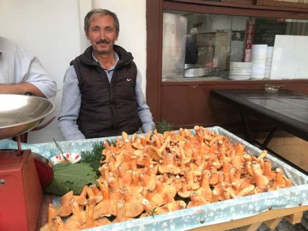 Kanlıca mantarı kilosu 100 TL'den pazardaki yerini aldı - Karabük haber