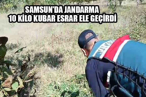 Samsun'da Jandarma 10 kilo kubar esrar ele geçirdi