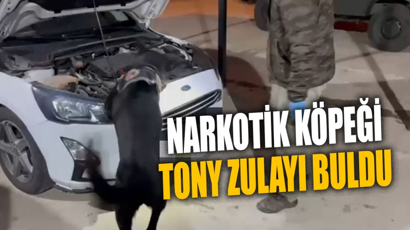 Samsun'da Narkotik Köpeği TONY Zulayı Buldu
