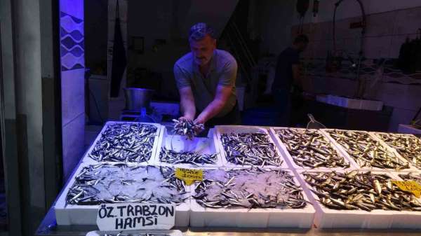 Karadeniz'de avı bollaştı, hamsi fiyatı 100 TL'ye düştü