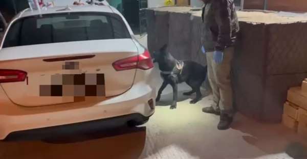 Narkotik dedektör köpeği aracın döşemesine gizlenmiş uyuşturucu buldu: 3 gözaltı