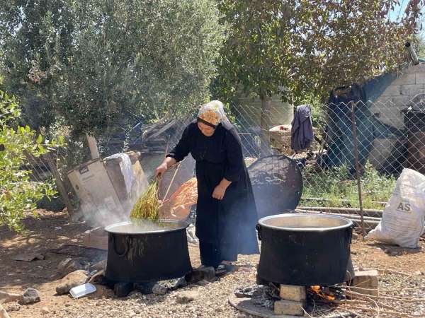 Şanlıurfa'da üzümün pekmez yolculuğu başladı