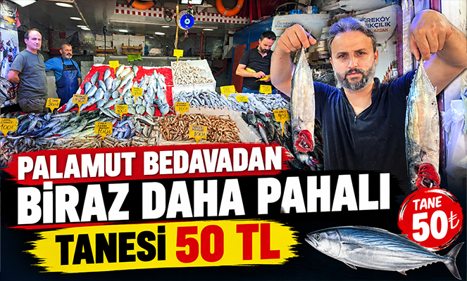 Palamut bedavadan biraz daha pahalı: Tanesi 50 TL