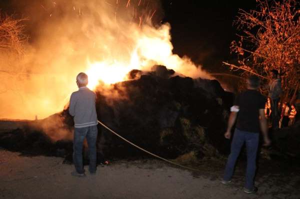 Amasya'da ahır yangınında 16 büyükbaş hayvan telef oldu 