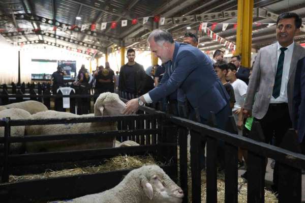Küçükbaş Hayvancılık Festivali 40 bin sektör temsilcisini İnegöl'de buluşturdu