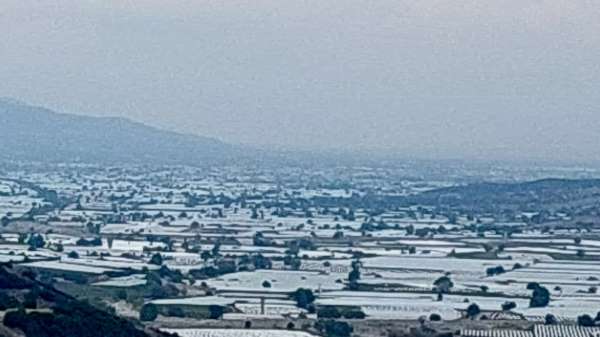 Sarıgöl'de üzüm üretici ihracatın hız kazanmasını bekliyor