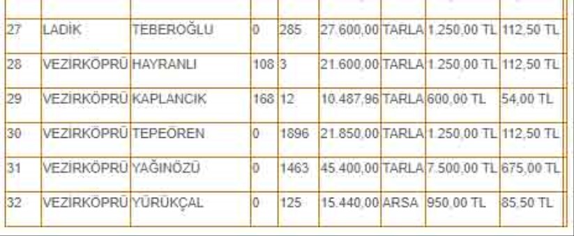 Samsun Büyükşehir Belediyesi 32 taşınmazını kiralıyor