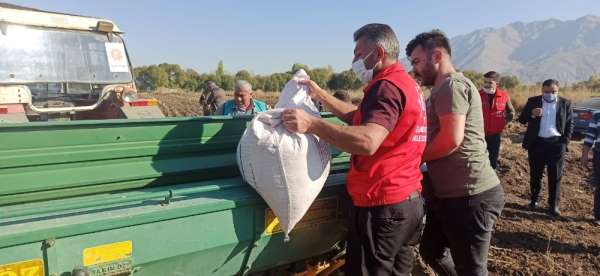 Elbistan Belediyesi, ata mirası siyez buğdayı üretecek 