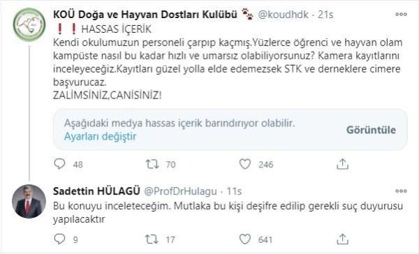 Üniversite personelinin aracıyla ezdiği iddia edilen köpeğin ölümüne öğrencilerd