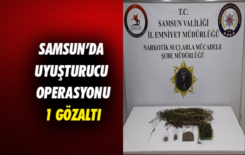 Samsun'da uyuşturucu operasyonu