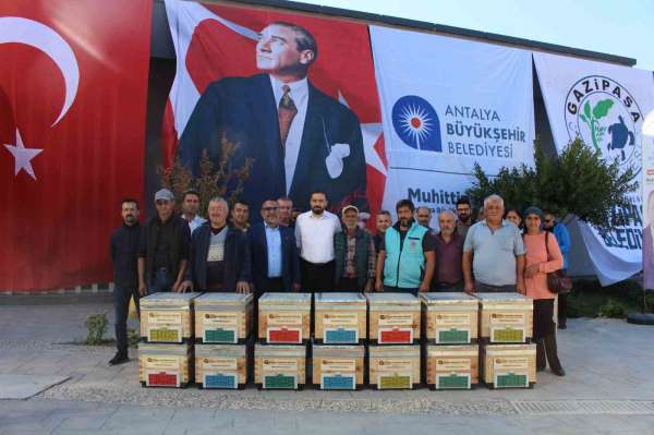 Büyükşehir'den Gazipaşalı arıcılara kovan desteği