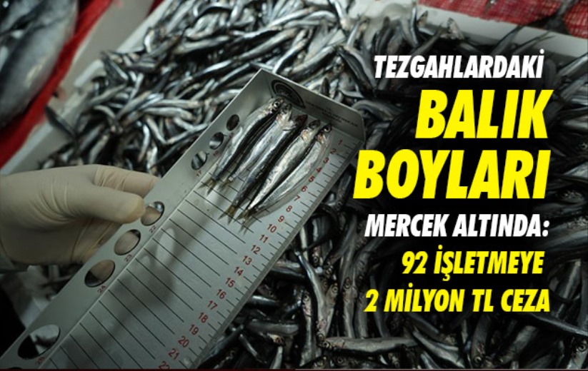 Samsun'da tezgahlardaki balık boyları mercek altında: 92 işletmeye 2 milyon TL ceza