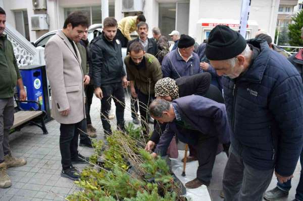 Türkeli'de vatandaşlara ücretsiz fidan dağıtıldı