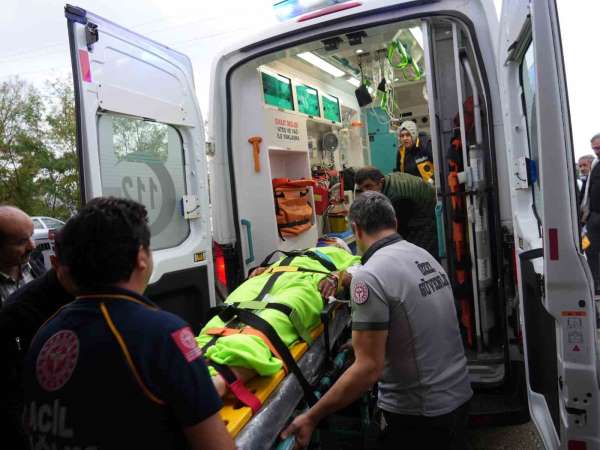 Mantar toplarken ayının saldırısına uğrayan imam yaralandı