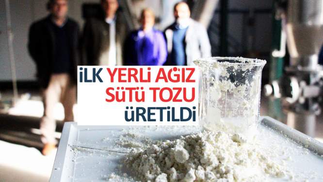 Samsun Haberleri: Türkiye'nin ilk 'yerli ağız sütü tozu' Üretildi