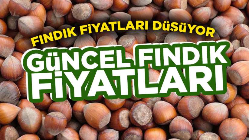 12 Ocak Pazar Samsun fındık fiyatları ne kadar? Güncel fındık fiyatları