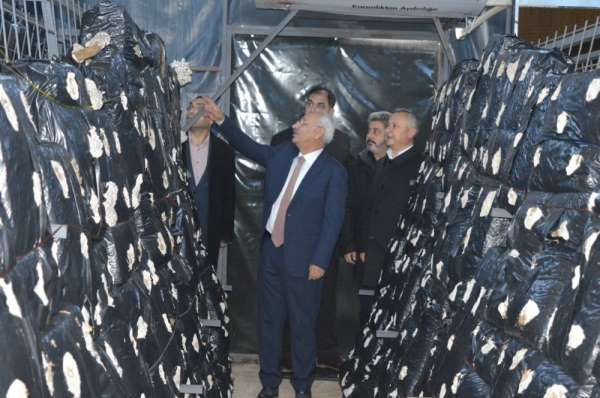 Kırıkkale'de 2 çiftçiye mantar üretim tesisi kuruldu 