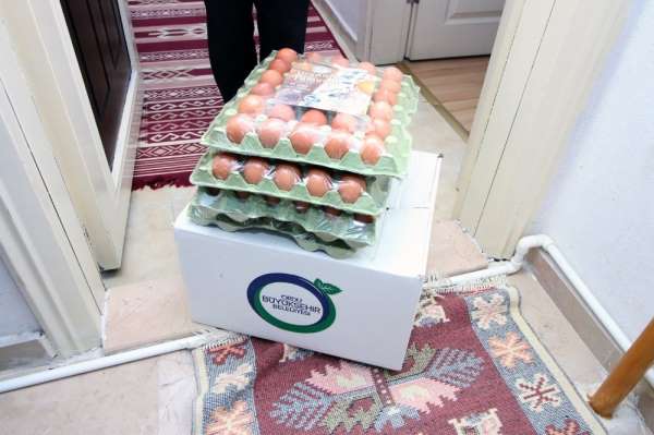 Ordu'da 90 bin organik yumurta ihtiyaç sahiplerine dağıtılıyor