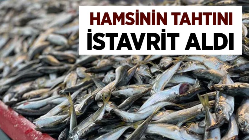 Hamsinin tahtını istavrit aldı