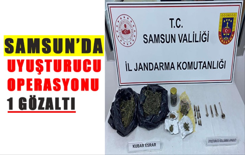 Jandarmadan uyuşturucu operasyonu: 1 gözaltı