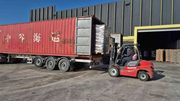 ABD ve Avrupa ambargosu Türkiye'ye yaradı: Türk ayçiçeği tohumları Rusya'da rekor kırıyor