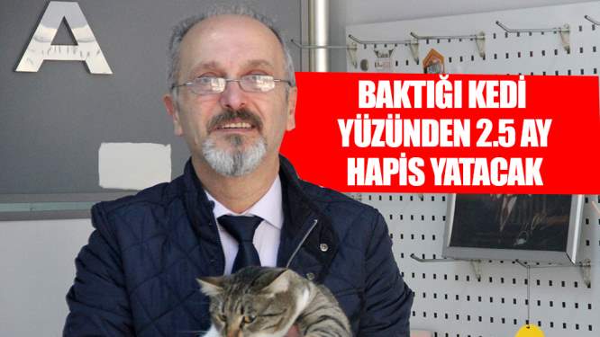 Baktığı sokak kedisi yüzünden 2.5 ay hapis yatacak!