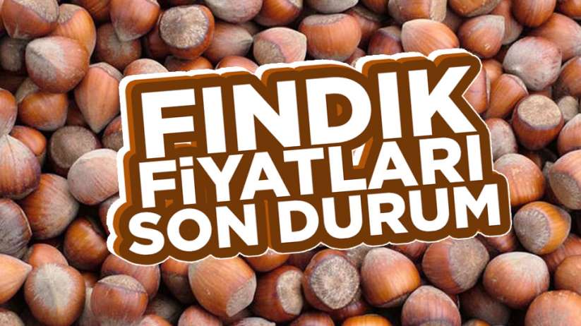 Güncel fındık fiyatları.. 12 Nisan Pazar Samsun fındık fiyatları ne kadar?