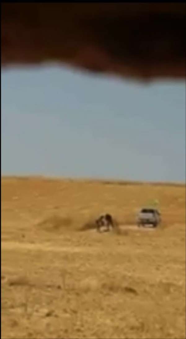 (Özel) PKK/PYD terör örgütünün halkın ekinlerini yakma anı görüntülendi 