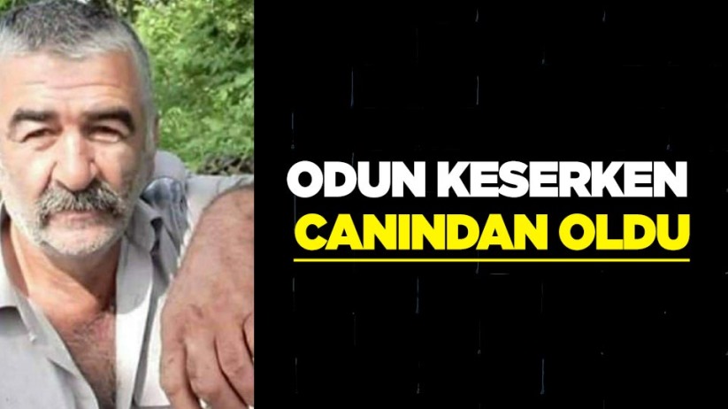 Samsun'da odun keserken canından oldu