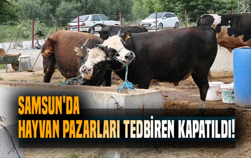 Samsun'da hayvan pazarları tedbiren kapatıldı!