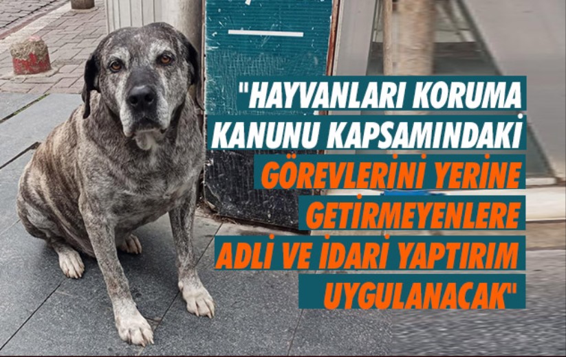 Vali Tavlı: 'Görevlerini yerine getirmeyenlere adli ve idari yaptırım uygulanacak'