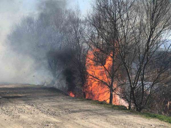 Taşova'da Yeşilırmak'ın kıyısında yangın çıktı
