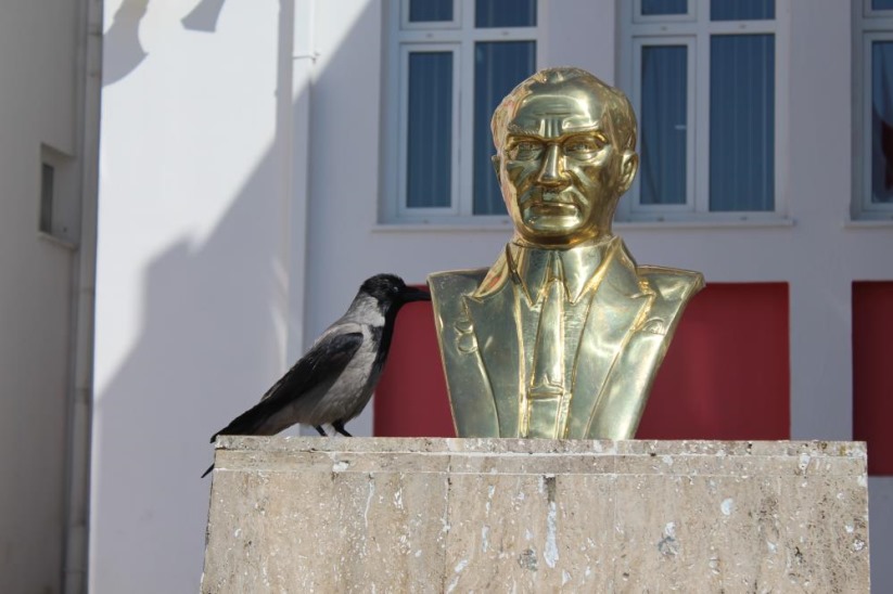 Haylaz karga, okulun maskotu oldu