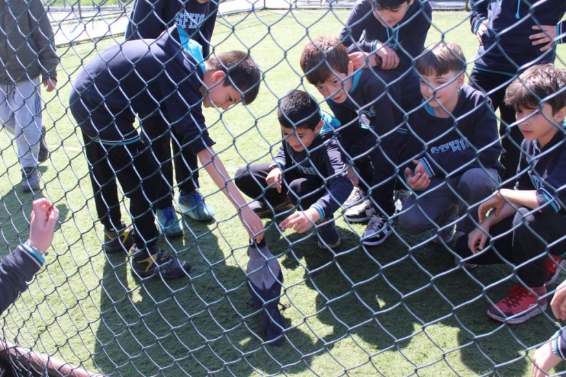 Haylaz karga, okulun maskotu oldu