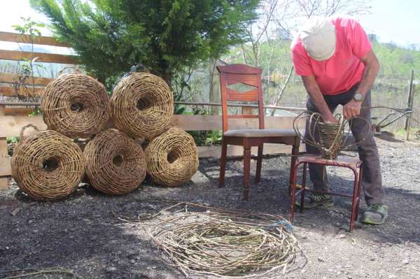 Doğadan topluyor, türkülerle örüyor: 45 yıllık usta dikenli sarmaşıktan balık sepeti örüyor