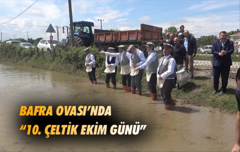 Samsun Bafra Ovası'nda '10. Çeltik Ekim Günü'